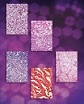 2006 Report Cover Image