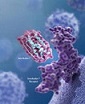 2007 Report Cover Image