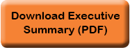 Download Executive Summary PDF