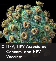 HPV, HPV-Associated Cancers, and HPV Vaccines