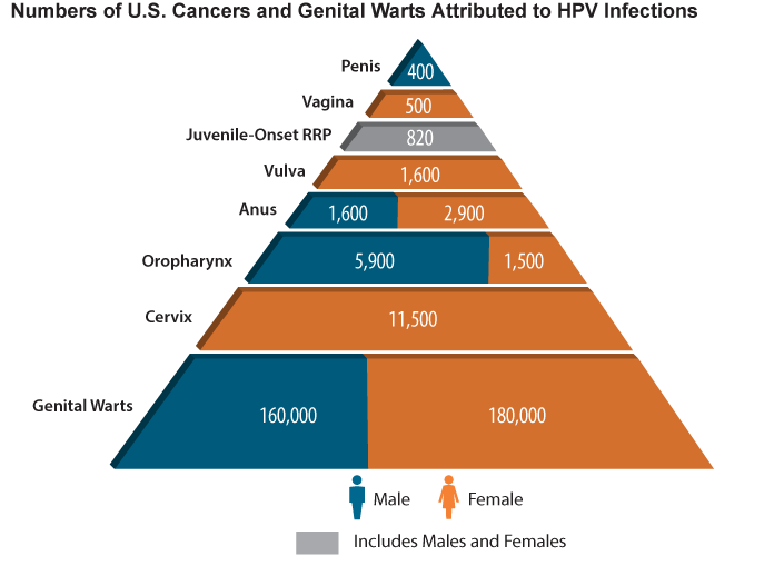 Figure 2. Numbers of U.S. Cancers and Genital Warts Attributed to HPV Infections