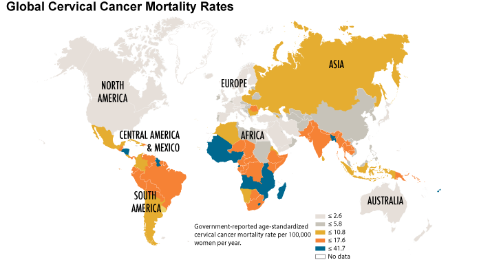 Figure 9. Global Cervical Cancer Mortality Rates